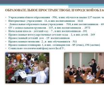 Биоповреждение строительных материалов плесневыми грибами шаповалов игорь васильевич